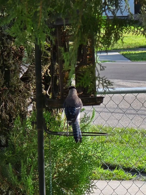 Building Photo - 3530 S 55th Ave