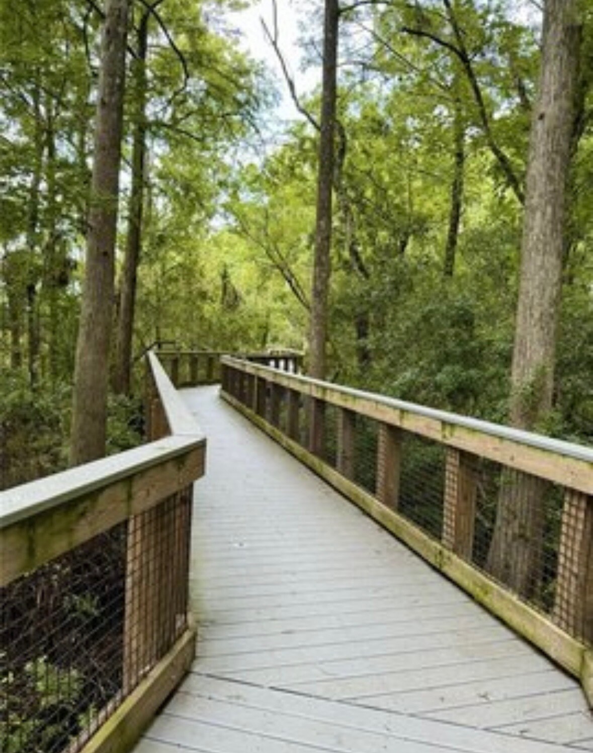 Building Photo - 4399 Brooker Creek Dr