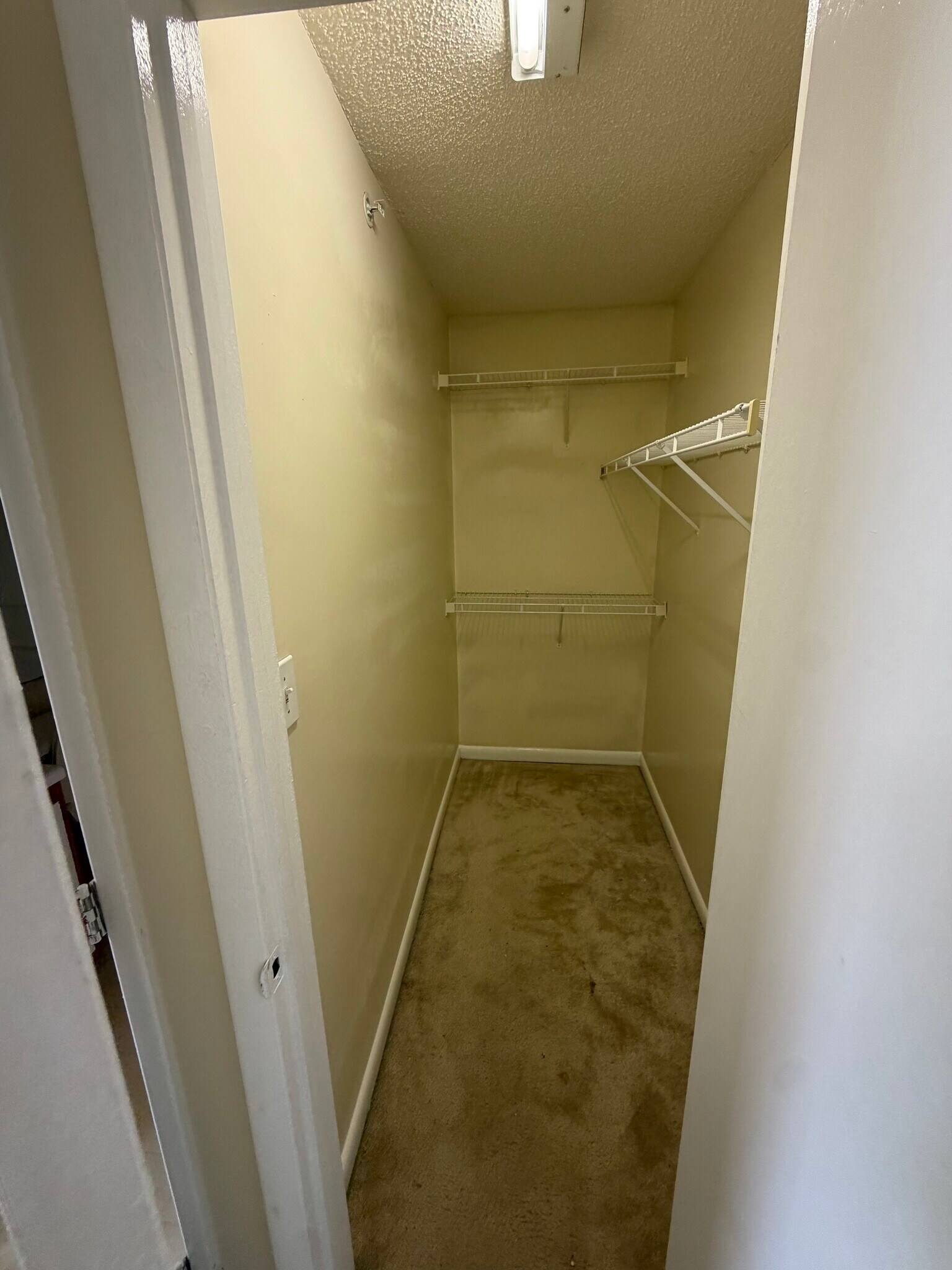 Building Photo - 1351 Crab Orchard Dr