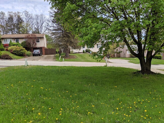 Building Photo - 3 Bedroom Split Entry - Gateway School District