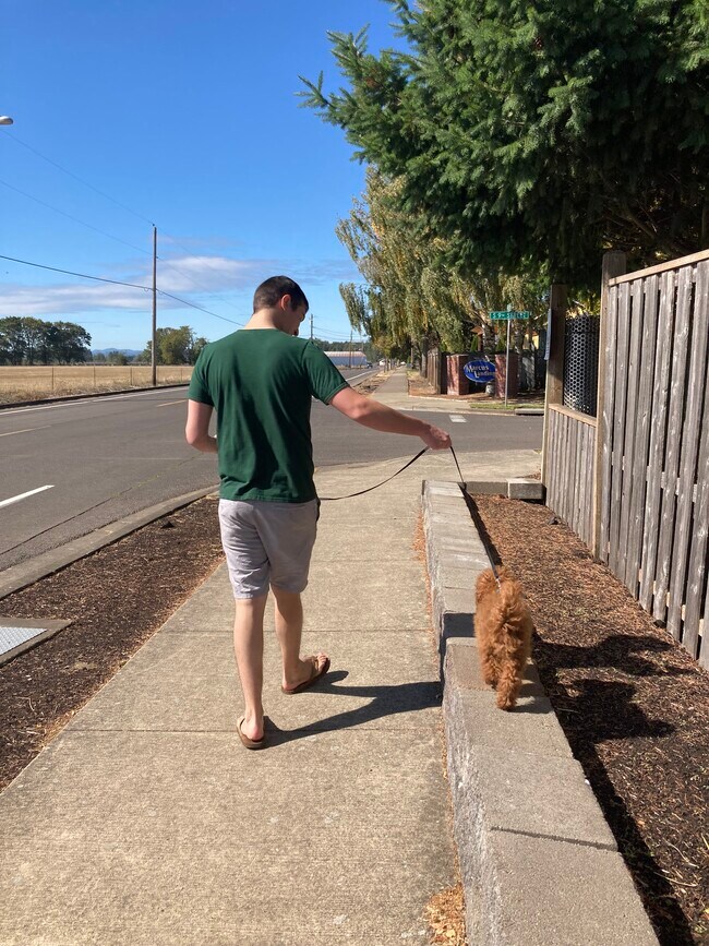 Walking outside the neighborhood - 832 Umpqua St