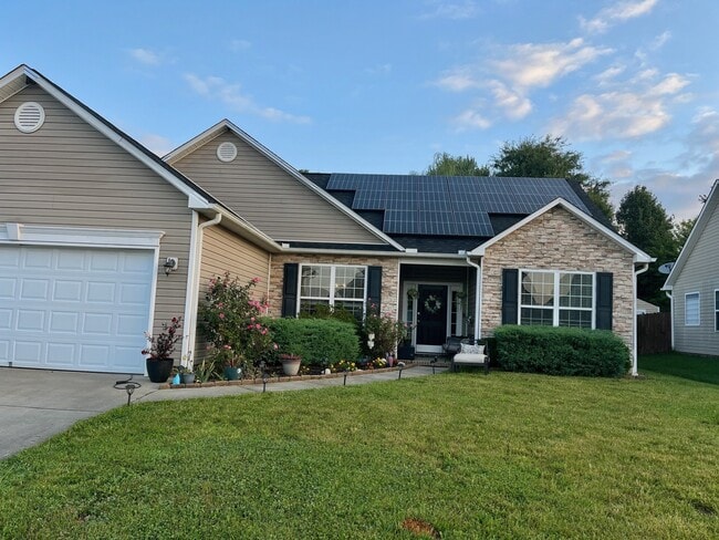 Streetview - 168 Pamlico Rd