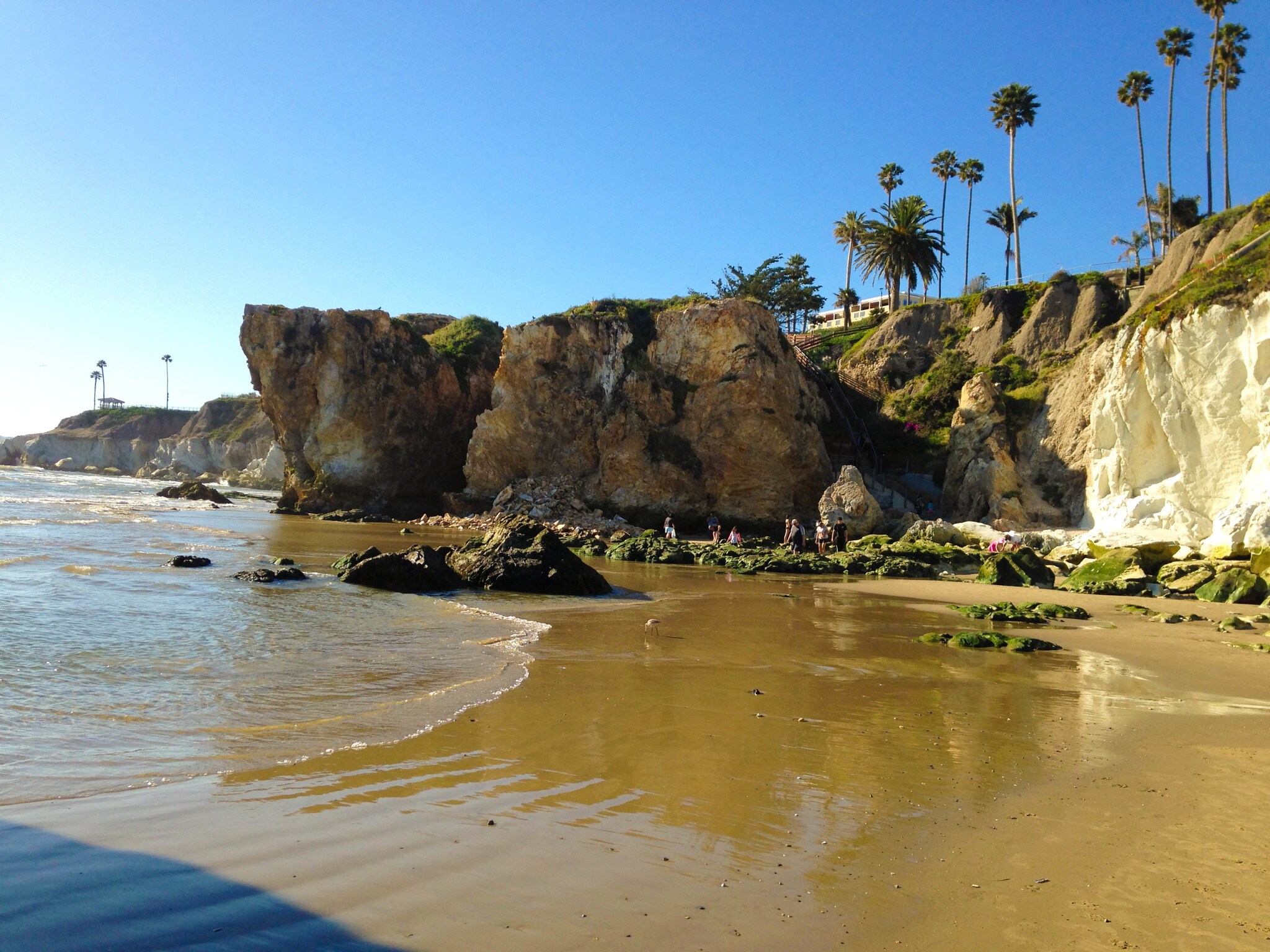 Building Photo - 341 Harbor View Ave