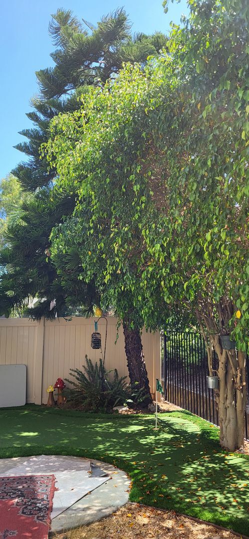 Building Photo - Rare Discovery Hills Gem – 3 Bedroom Home with Serene Backyard Oasis