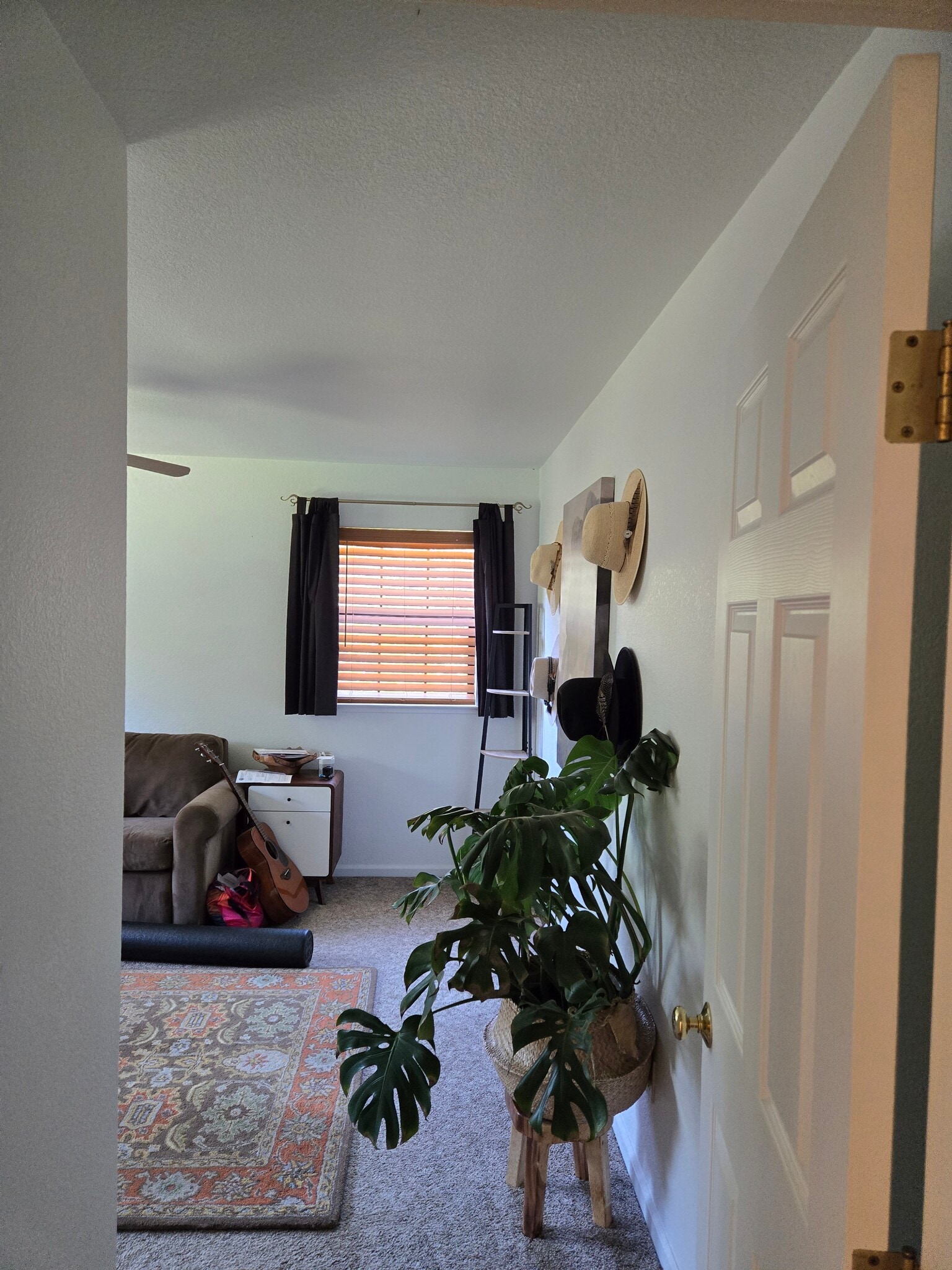 2nd bedroom - 4521 Wild Lilac Ln