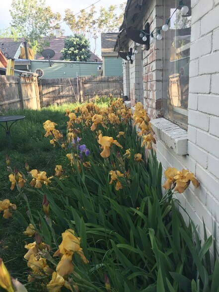 Building Photo - 510 W 1st Ave