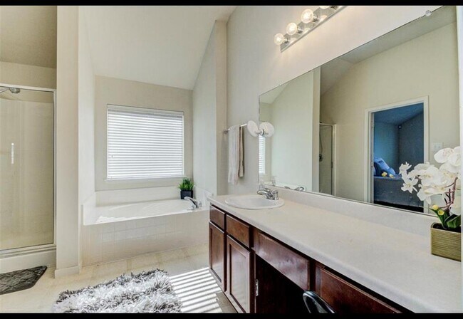Building Photo - 17206 Brookhollow Mist Ct