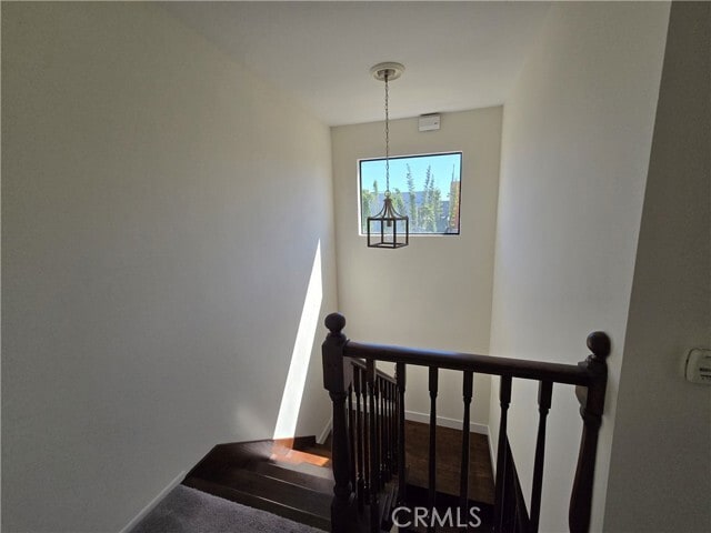 Building Photo - 2440 Penmar Ave