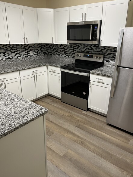 Newly renovated kitchen - 1257 Winter Green Way