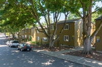 Building Photo - Shady Glen Apartments