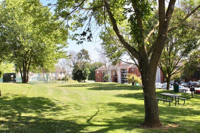 Building Photo - 1030-3 Blue Ridge Dr