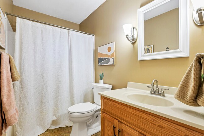 Hall full bath to be used by bedrooms 2 and 3 and guests - 162 Denison Dr