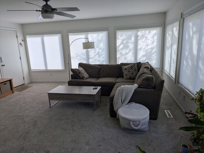 Building Photo - White Pine
