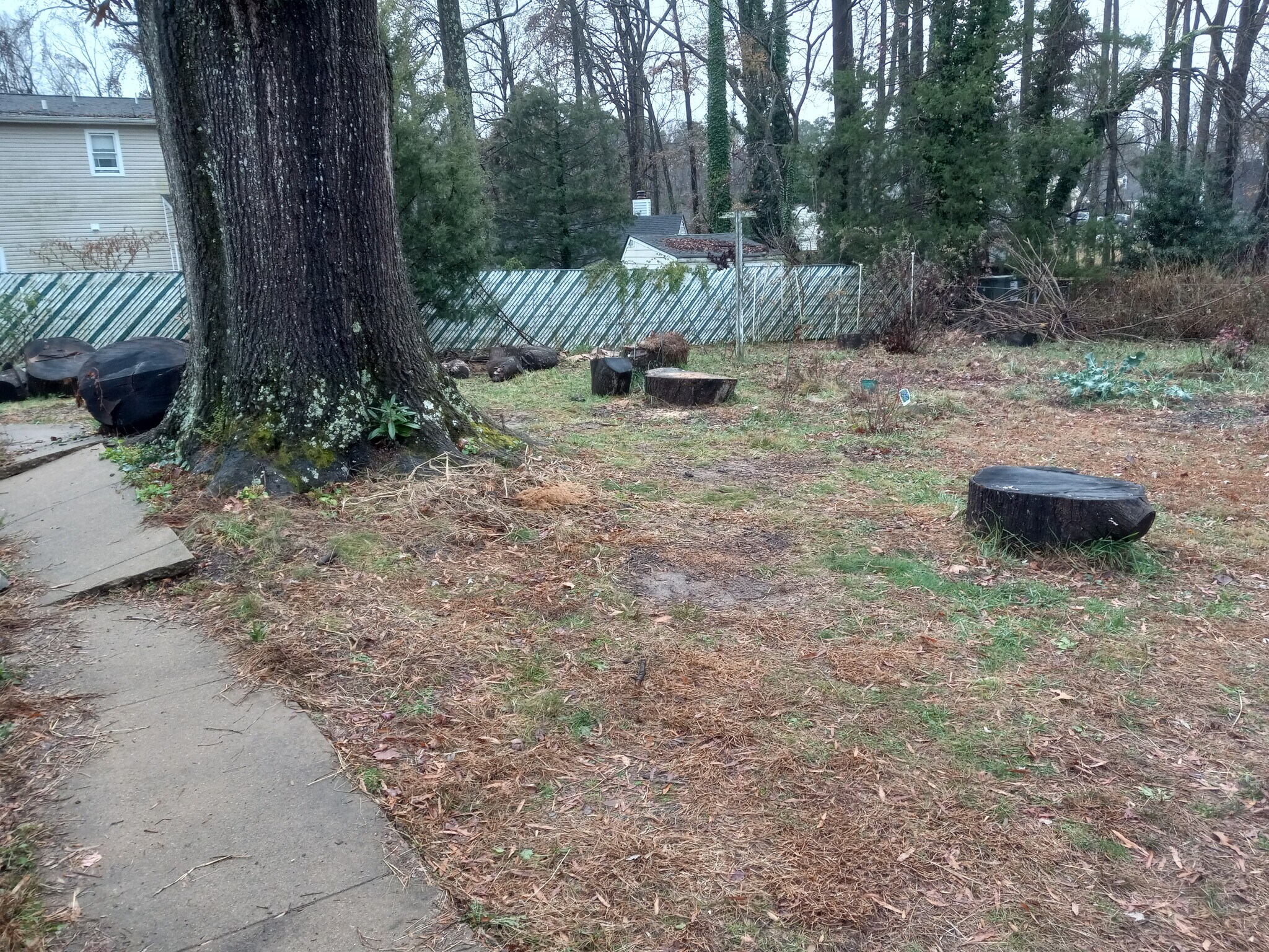 Back yard. - 8411 Shannon Rd