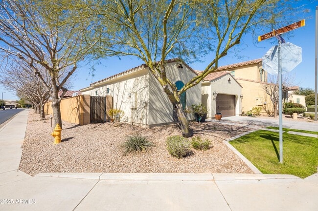 Building Photo - 3664 S Jasmine Dr