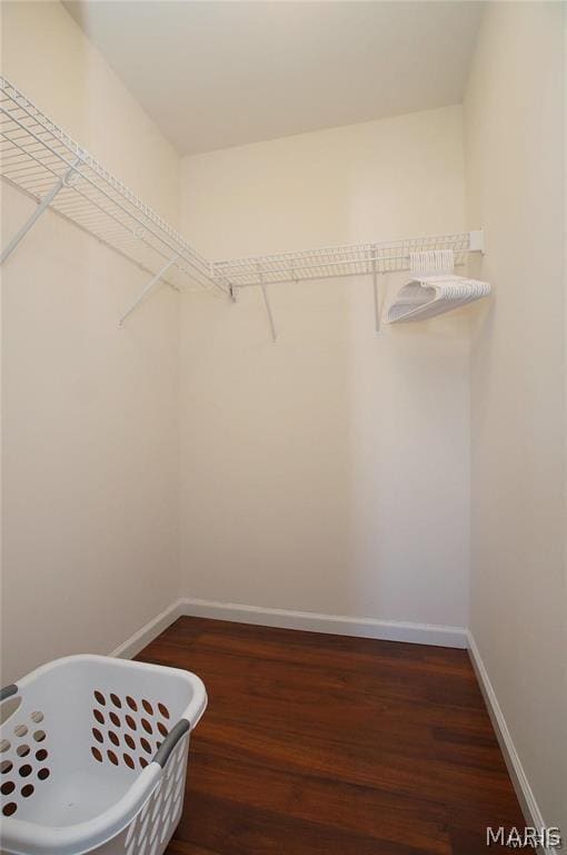 Building Photo - 619 Timber Creek Trail