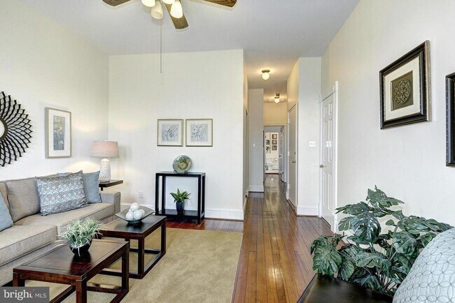 Building Photo - Spacious + Bright 1 Bedroom in Capitol Hill!
