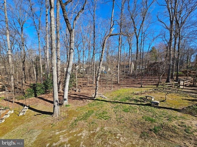 Building Photo - 11930 Cotton Mill Dr