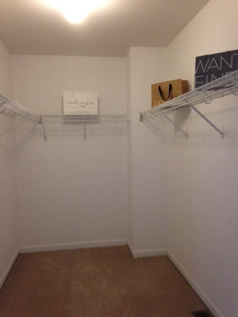 Master Walk-In Closet - 932 Pimpernel Ct