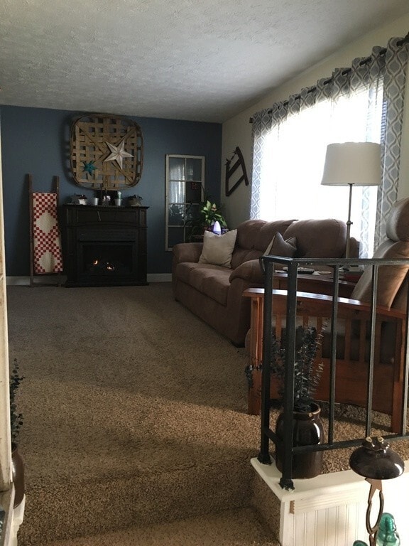 Building Photo - 3 Bedroom, 2 Bathroom Home in Red Bud Heig...