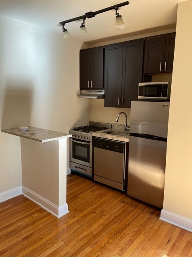 Building Photo - NEWLY REHABBED COZY STUDIO IN LINCOLN PARK...