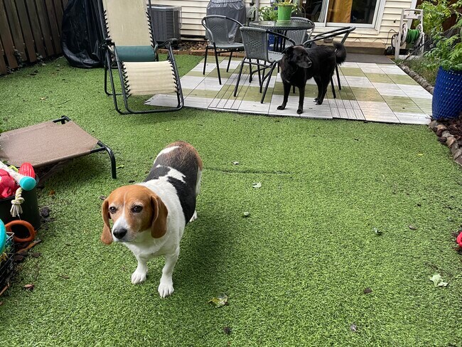 Building Photo - 3342 Commonwealth Ave