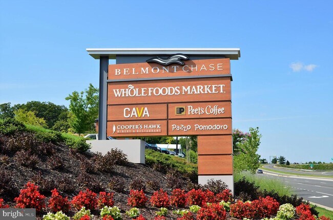 Building Photo - 43840 Hickory Corner Terrace