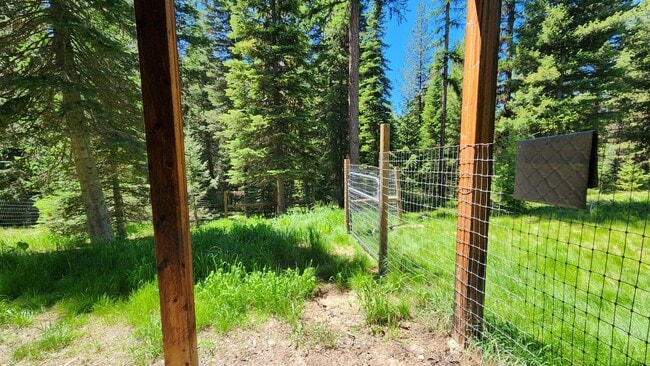 Building Photo - Beautiful Home in Condon