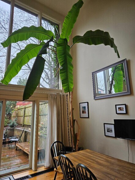 Building Photo - 155 Bradley St