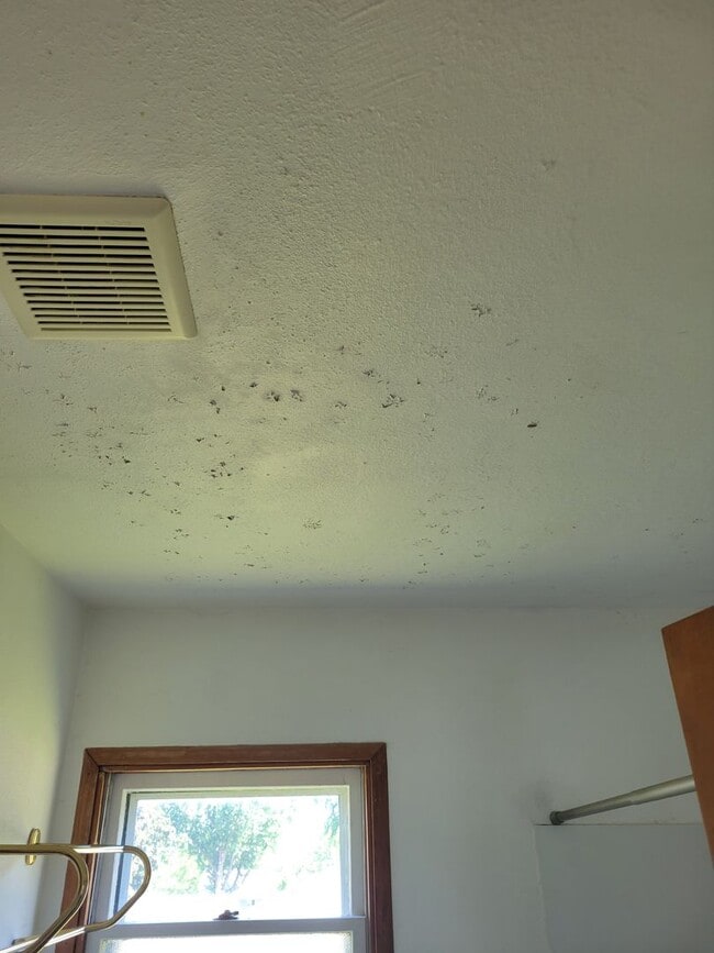 Building Photo - 2 Bedroom House