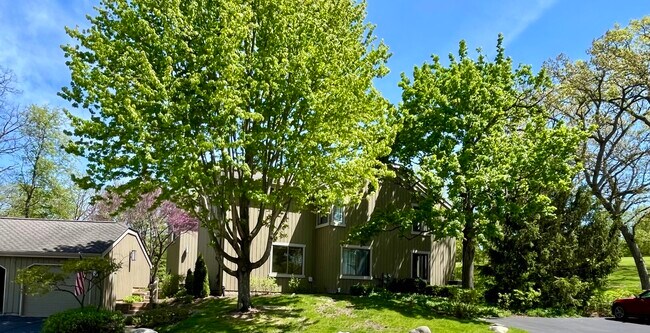 Building Photo - 275 Hickory Ln