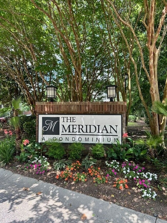 Building Photo - 2BD/2BA CONDO- THE MERIDIAN