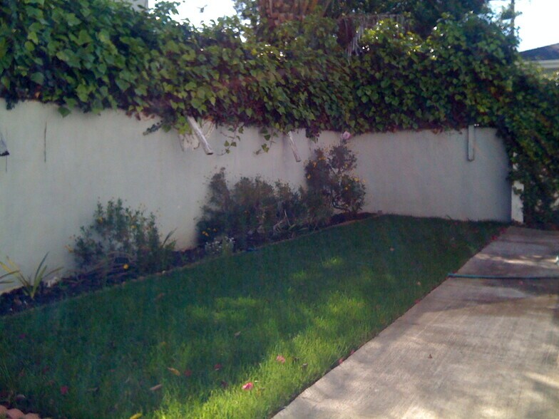 Building Photo - 1534 Veteran Ave