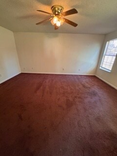 Building Photo - 219 Pineclave Cir