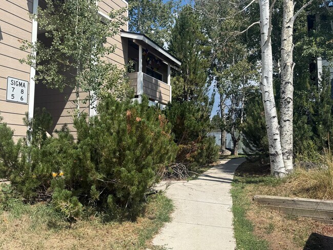Primary Photo - 1 Bedroom for Lease Walton Village Steambo...
