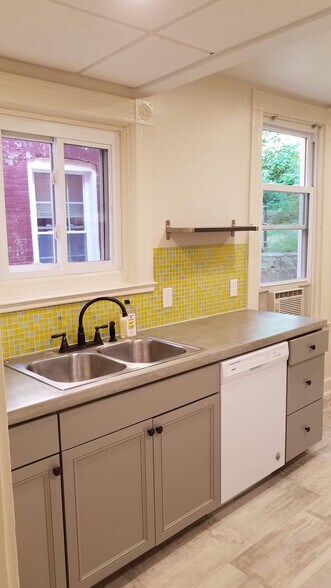 Kitchen - Sink and Dishwasher - 309 Lawn St
