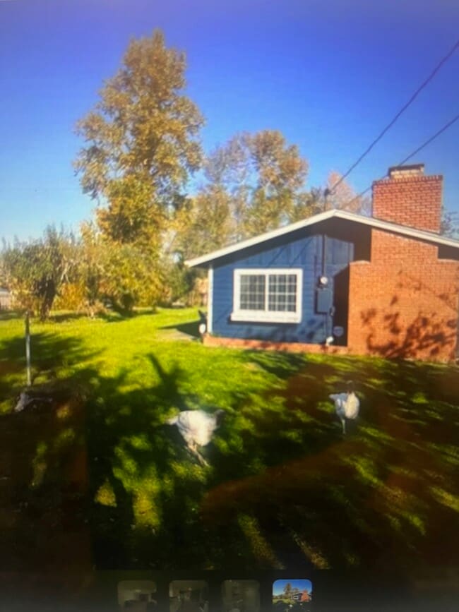 Primary Photo - 2443 1/2 McKinney Ln