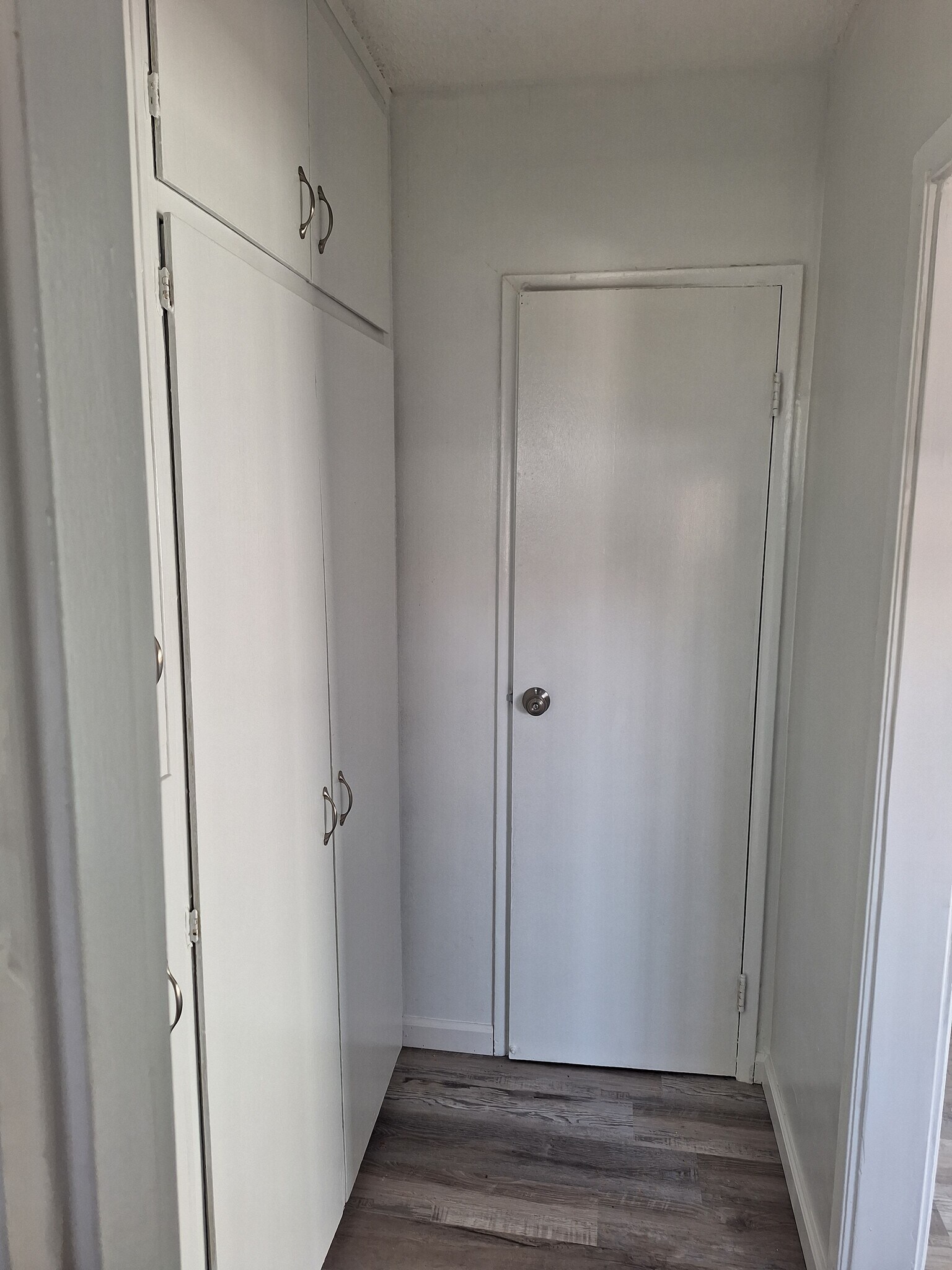 Downstairs Kitchen Pantry and Closet - 531 Warren Ln