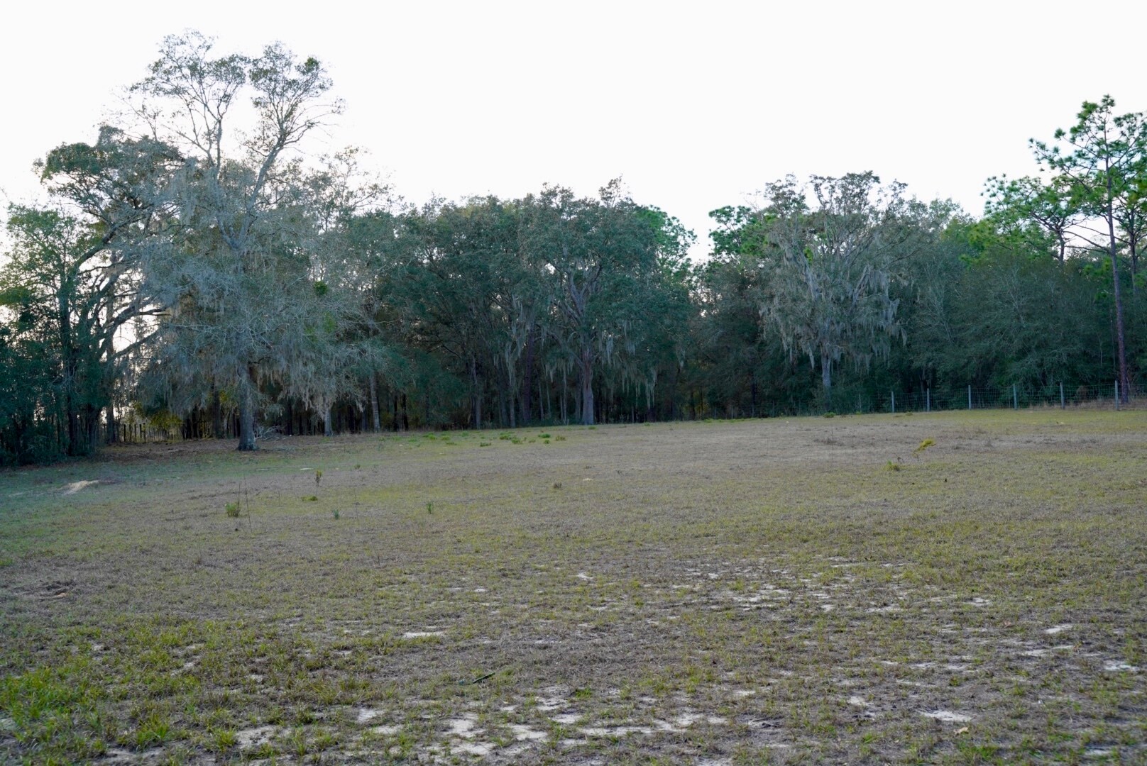 Building Photo - 29205 Saddle Oaks Ln