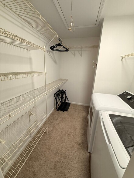 Building Photo - 4005 Calypso Dr