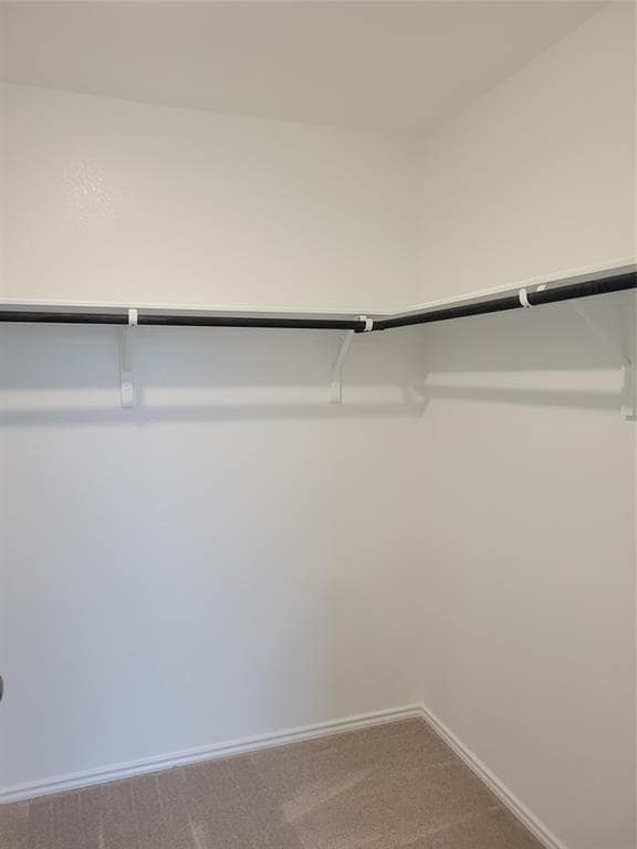 Building Photo - 319 Canley Lp