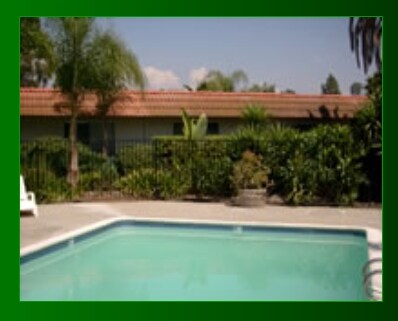 Pool - Las Palmas