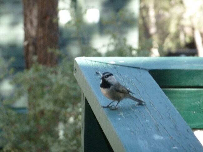 Building Photo - 2012 Symonds Dr