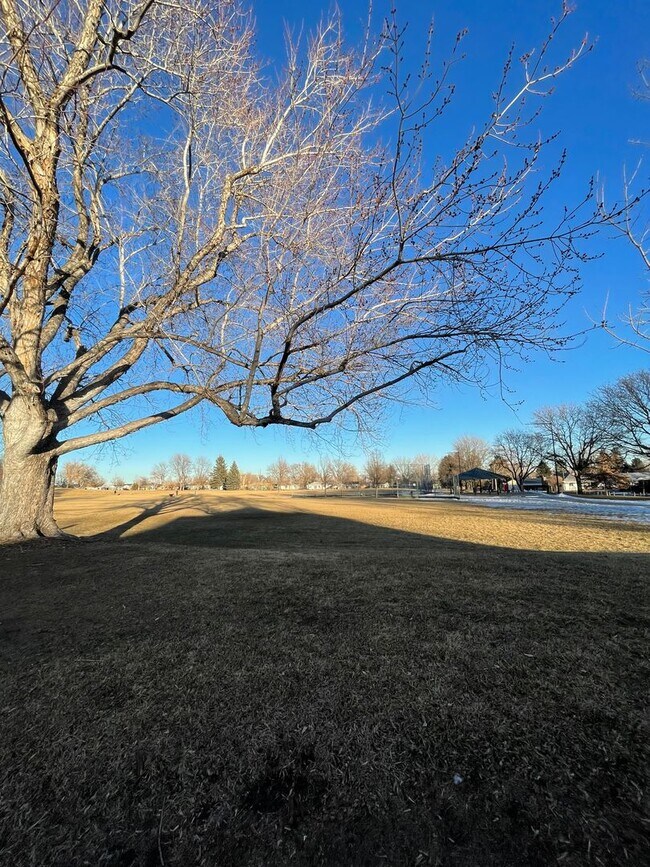 Building Photo - Updated 3BD/ 2BA home in Denver, CO! Available January 1st