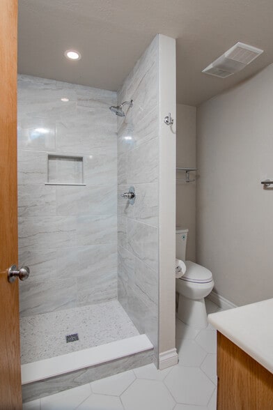 3rd Bedroom Bathroom - 1115 W Swallow Rd