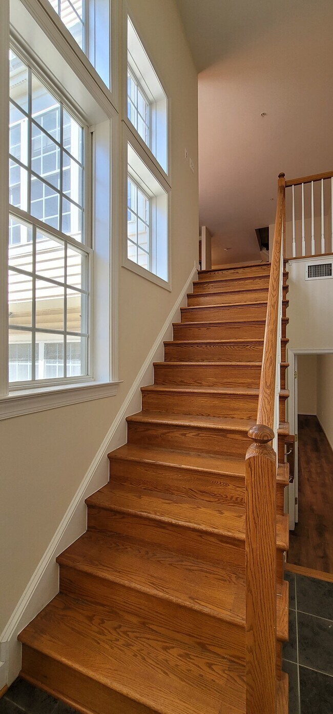Building Photo - 1641 Piccard Dr