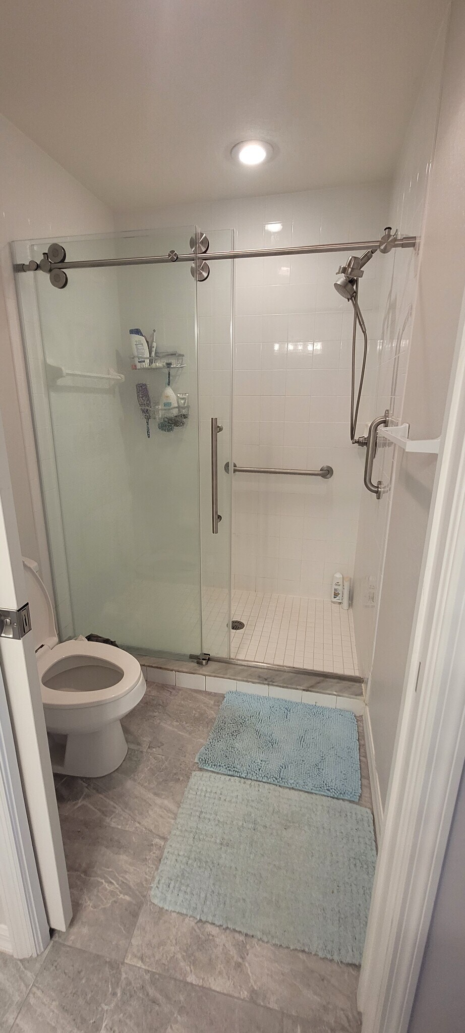 Master Bath Shower - 1457 San Cristobal Ave
