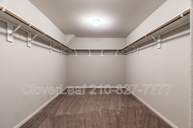 Building Photo - 10446 Margarita Loop