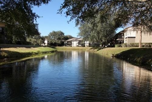 Building Photo - 1 bedroom in Tampa FL 33618