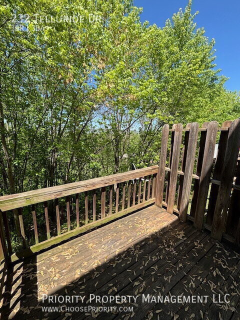 Building Photo - 232 Telluride Drive